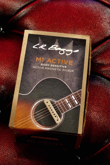 L.R.Baggs M1 ACTIVE | 楽器詳細ページ [Blue-G]